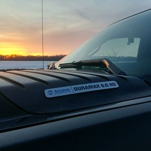 Meet your Posher, Daryl